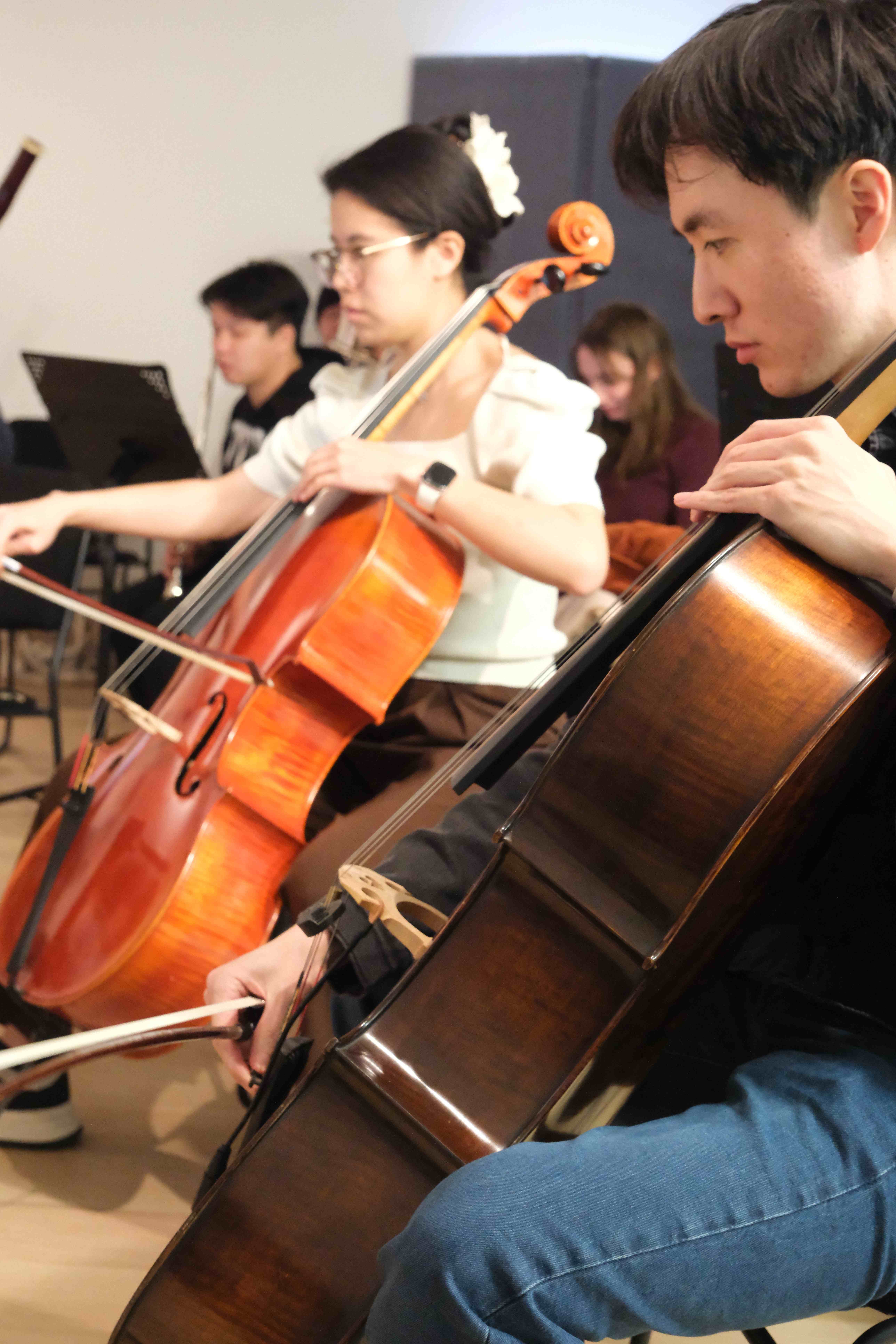Close-up of cellists performing during rehearsal