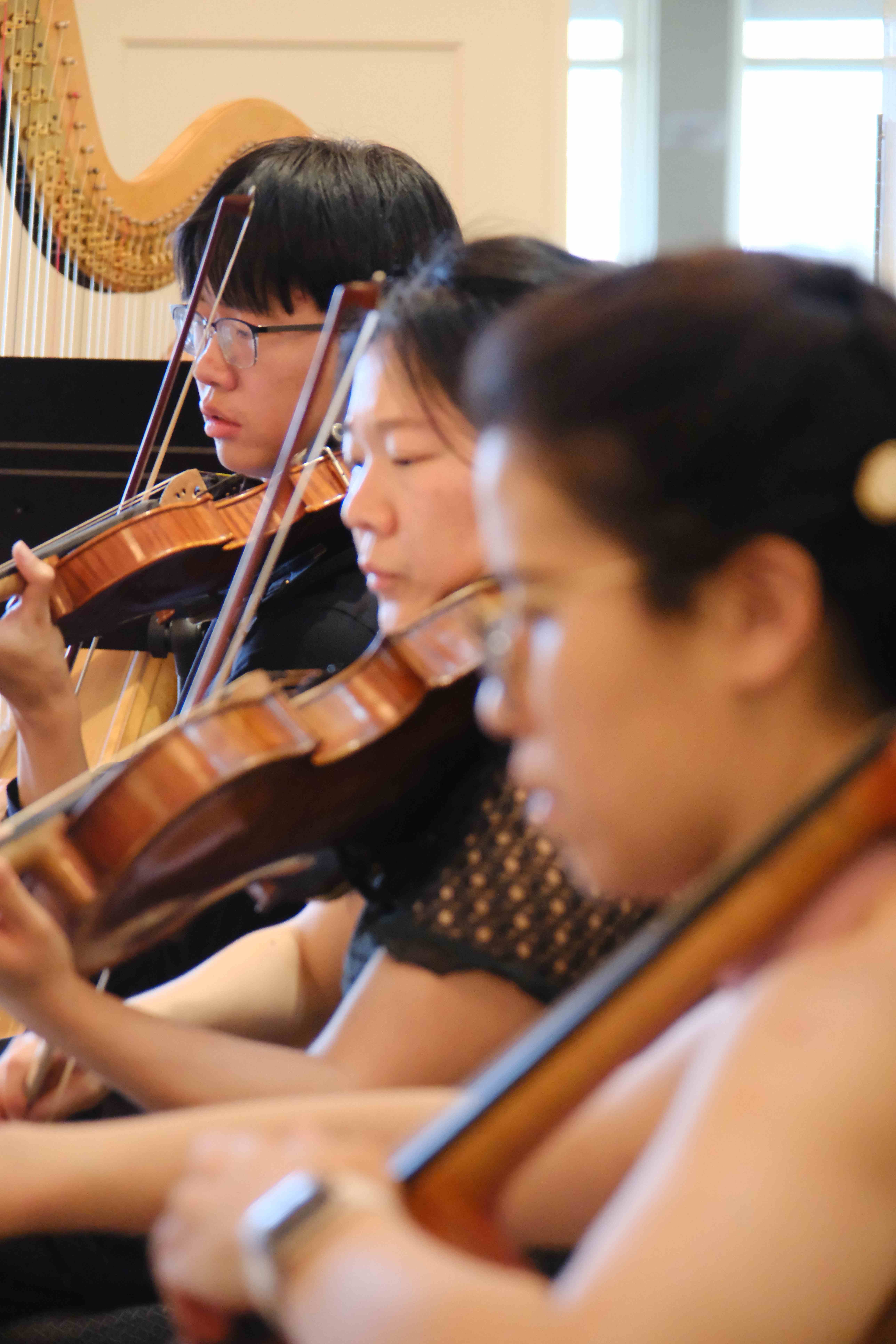 Violinists performing with harp in background