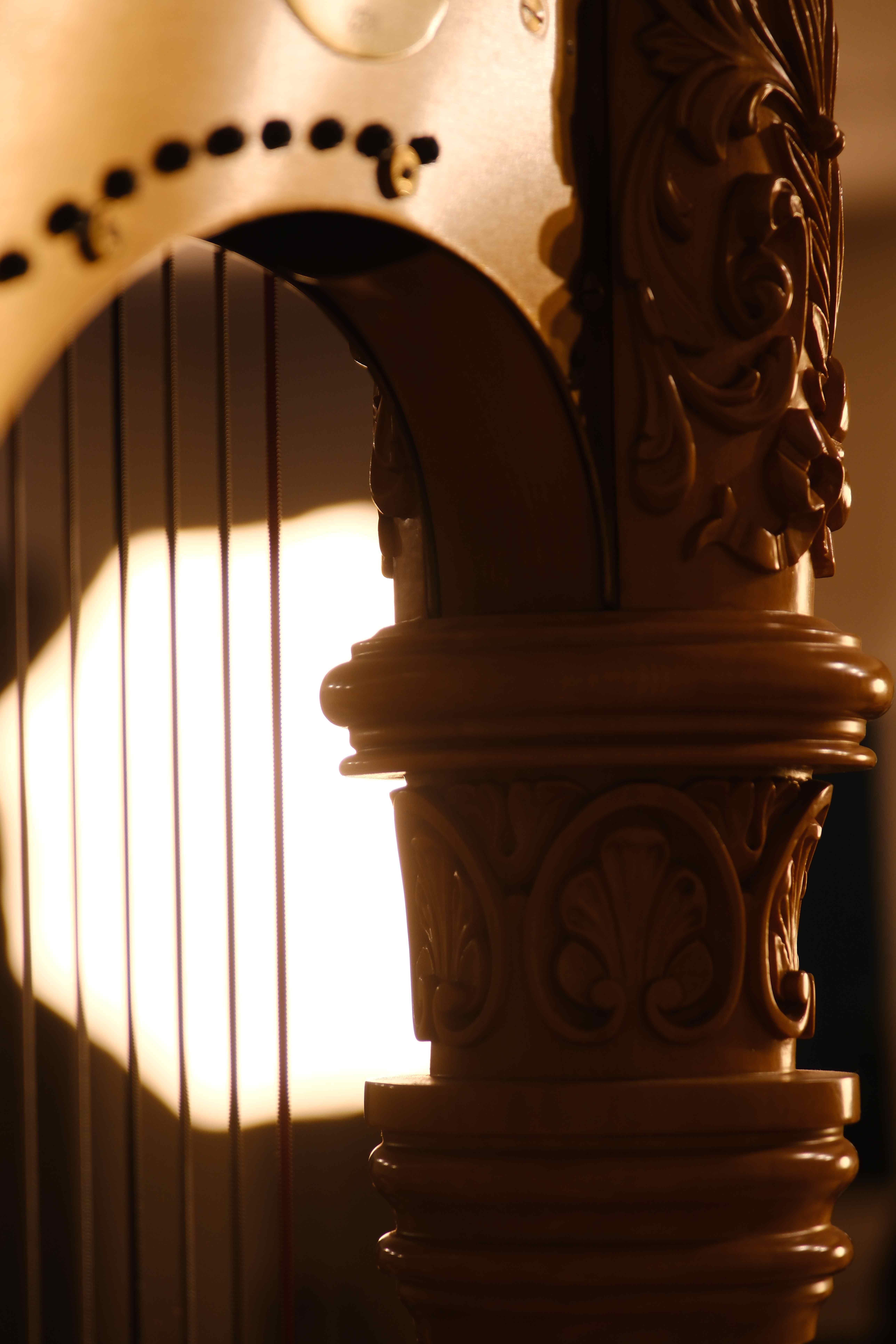 Harp detail